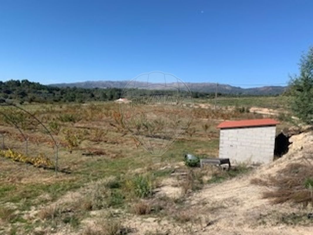 TODO