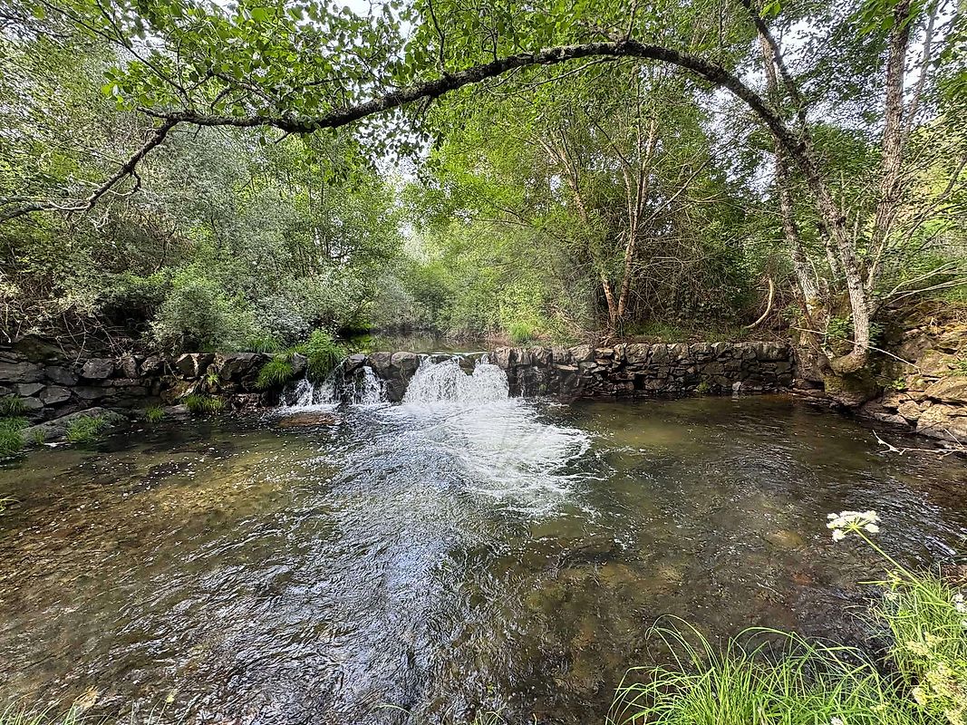 Terreno - Lavacolhos, Fundão, Castelo Branco