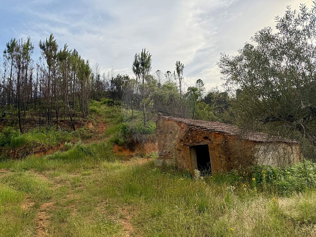 Terreno - Lavacolhos, Fundão, Castelo Branco