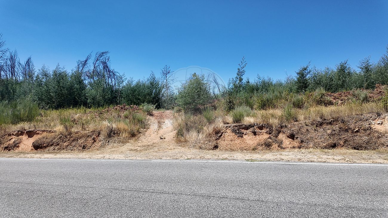 Terreno à venda em Guarda