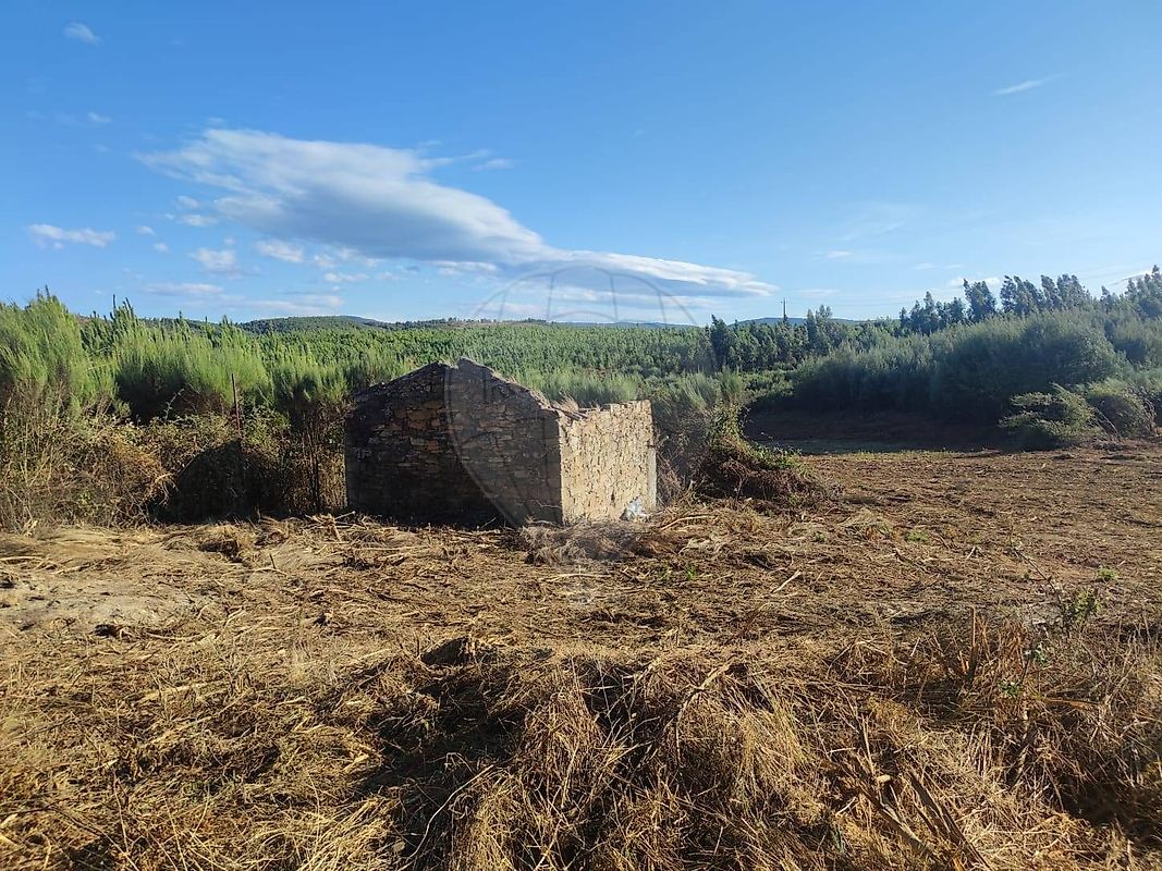 Terreno à venda em Covilhã