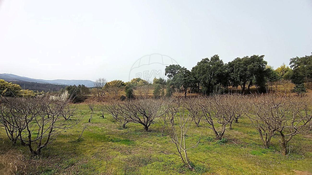 Terreno - Souto da Casa, Fundão, Castelo Branco