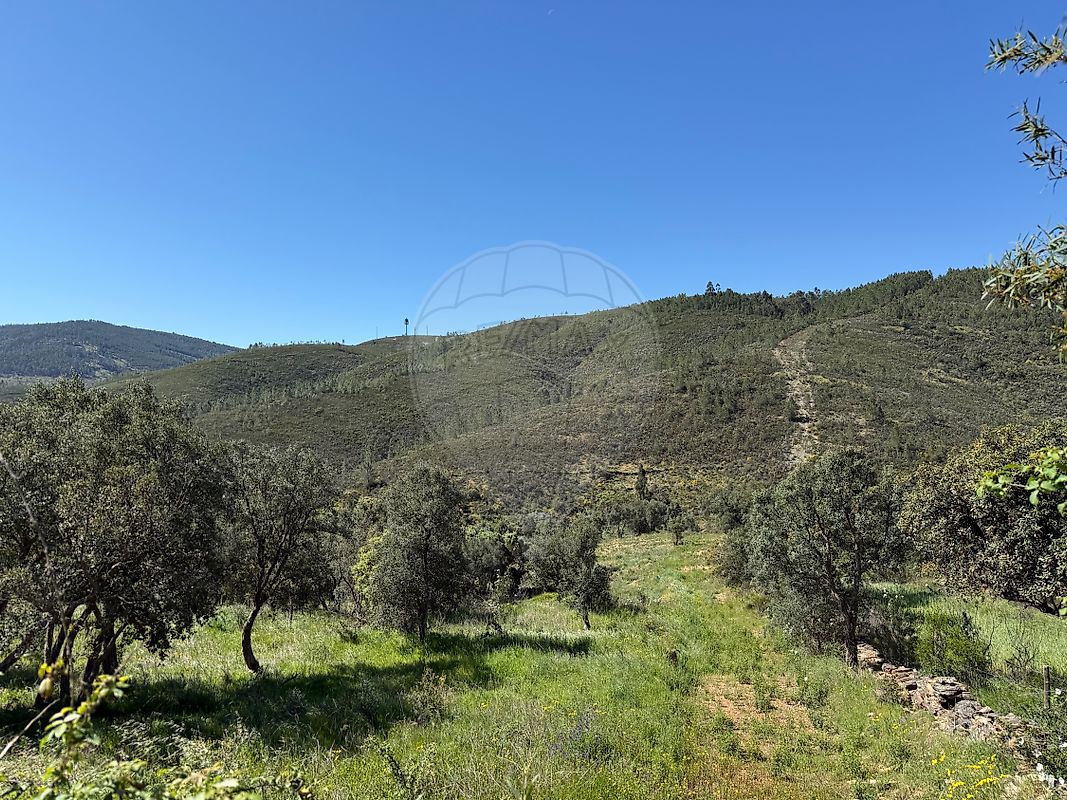 Moradia T4 à venda em Reguengo e São Julião, Portalegre — foto 27