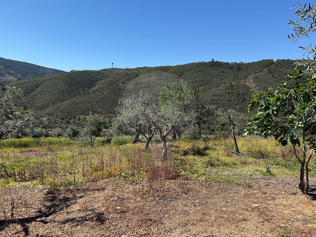 Moradia T4 à venda em Reguengo e São Julião, Portalegre — foto 35