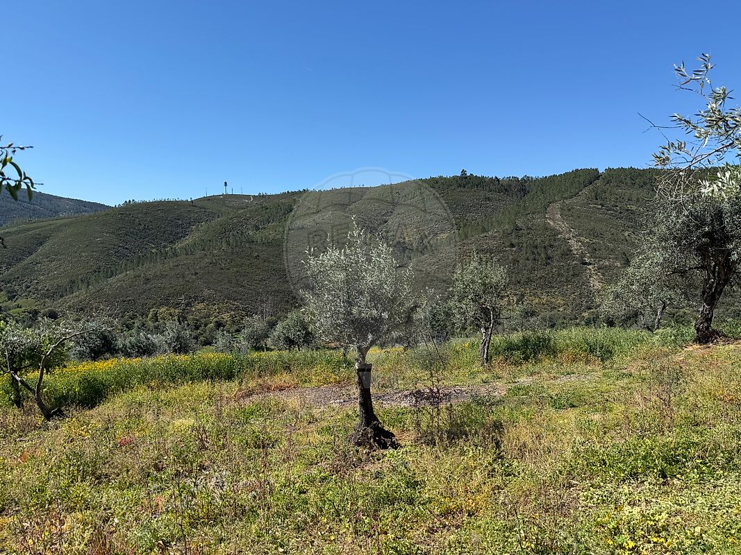 Moradia T4 à venda em Reguengo e São Julião, Portalegre — foto 40