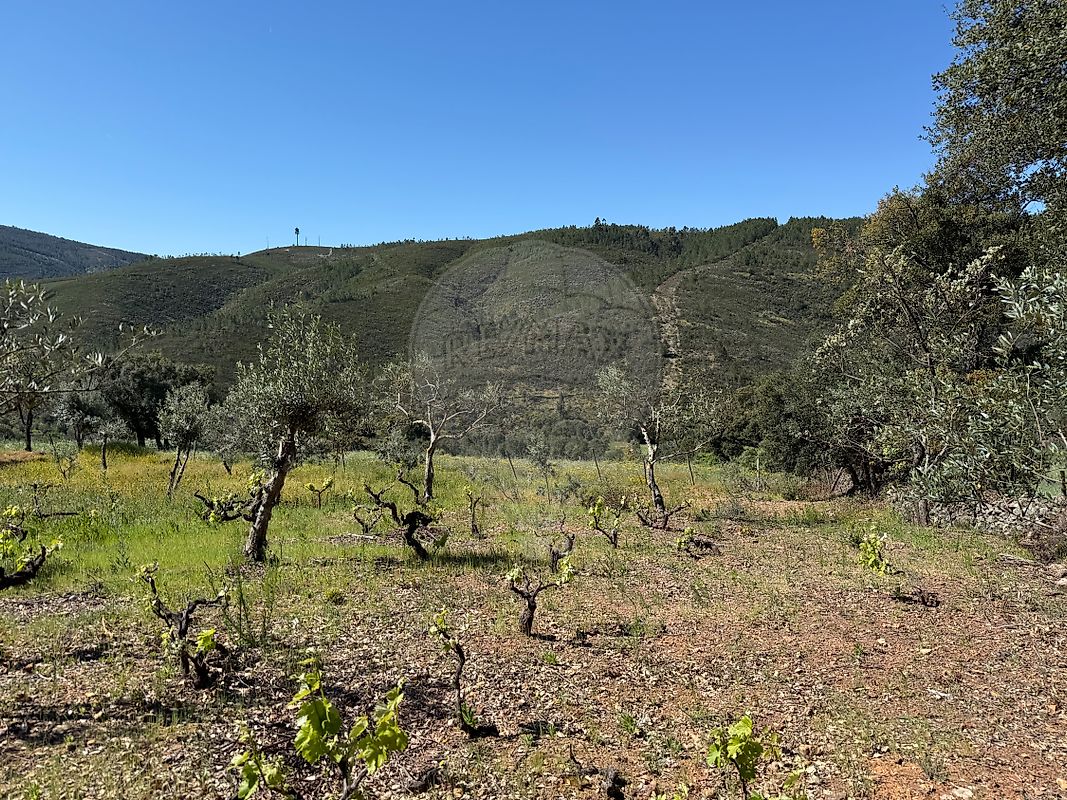 Moradia T4 à venda em Reguengo e São Julião, Portalegre — foto 25
