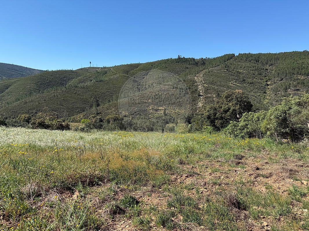 Moradia T4 à venda em Reguengo e São Julião, Portalegre — foto 26