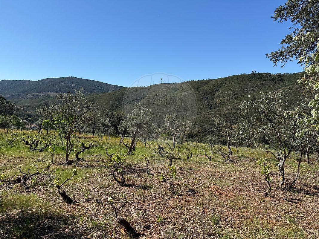 Moradia T4 à venda em Reguengo e São Julião, Portalegre — foto 23