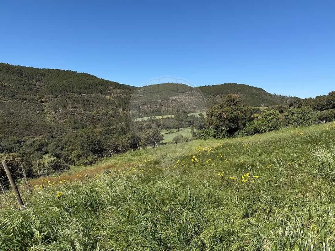 Moradia T4 à venda em Reguengo e São Julião, Portalegre — foto 30