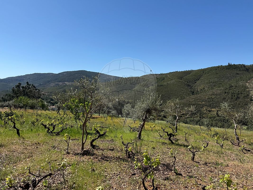Moradia T4 à venda em Reguengo e São Julião, Portalegre — foto 24