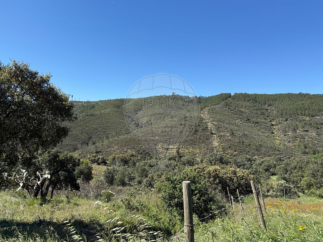 Moradia T4 à venda em Reguengo e São Julião, Portalegre — foto 28