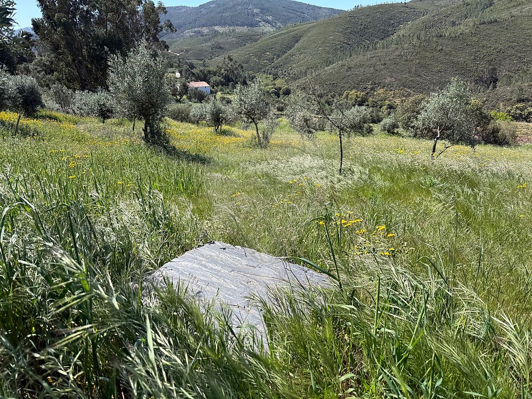 Moradia T4 à venda em Reguengo e São Julião, Portalegre — foto 29