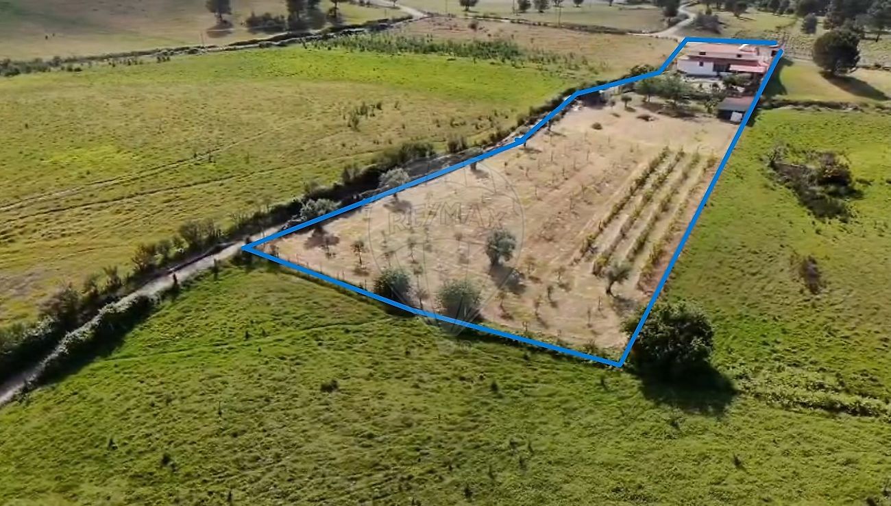 Quinta - Santa Marinha e São Martinho, Seia, Guarda