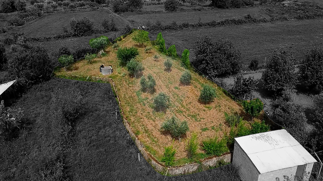 Terreno - Paul, Covilhã, Castelo Branco