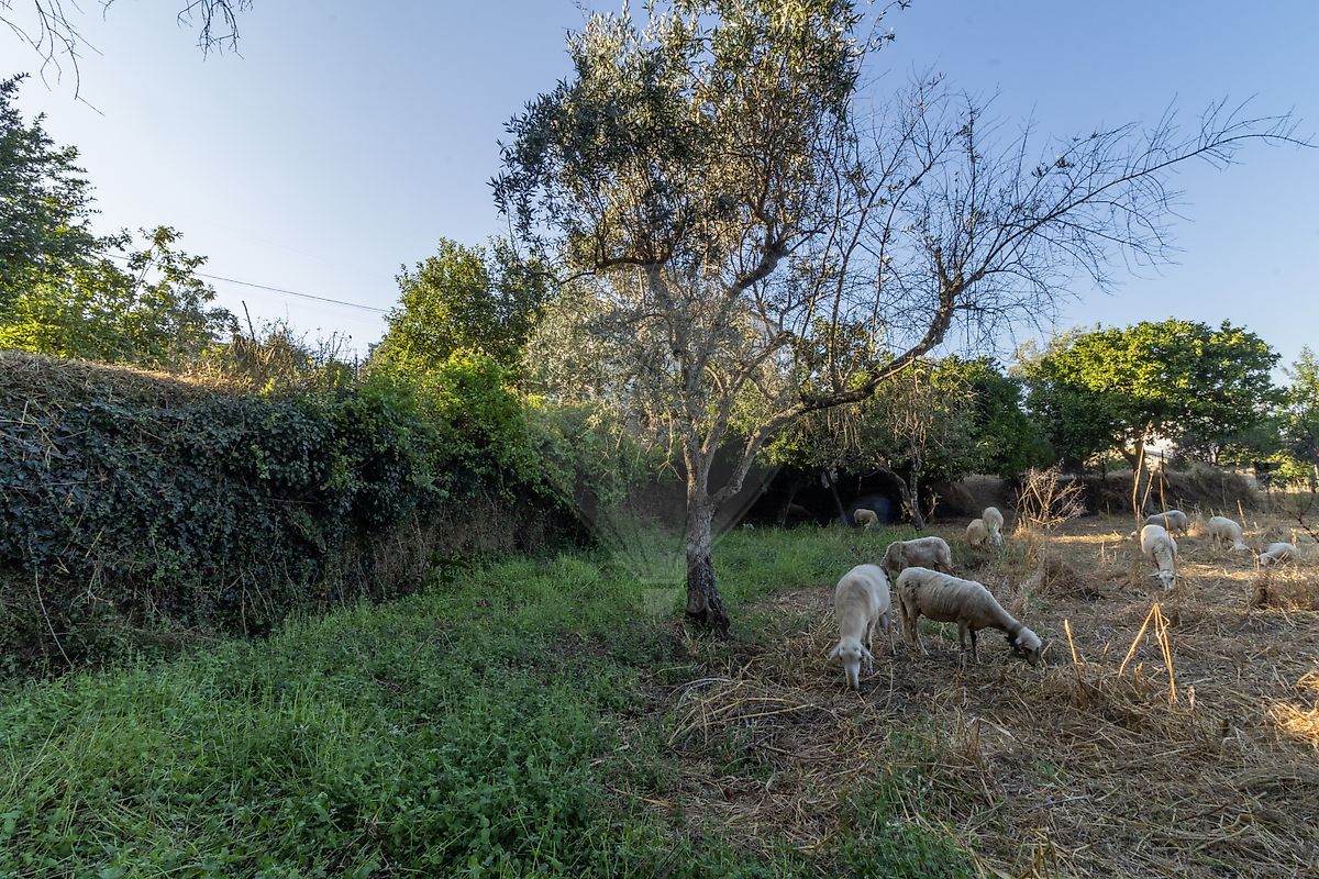 Moradia T2 à venda em Tortosendo, Covilhã — foto 14