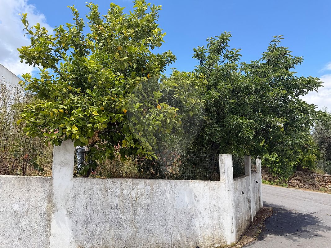Moradia T3 à venda em Esperança, Arronches — foto 11