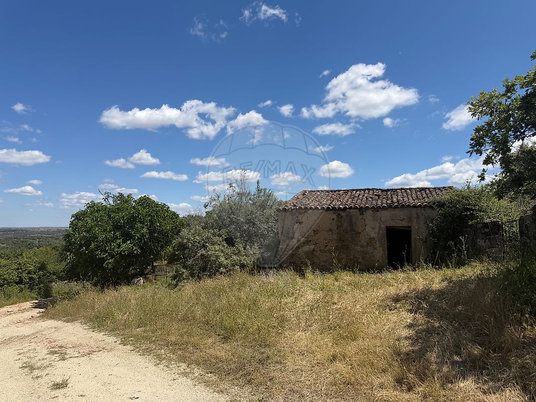 Terreno - Nossa Senhora da Graça de Póvoa e Meadas, Castelo de Vide, Portalegre