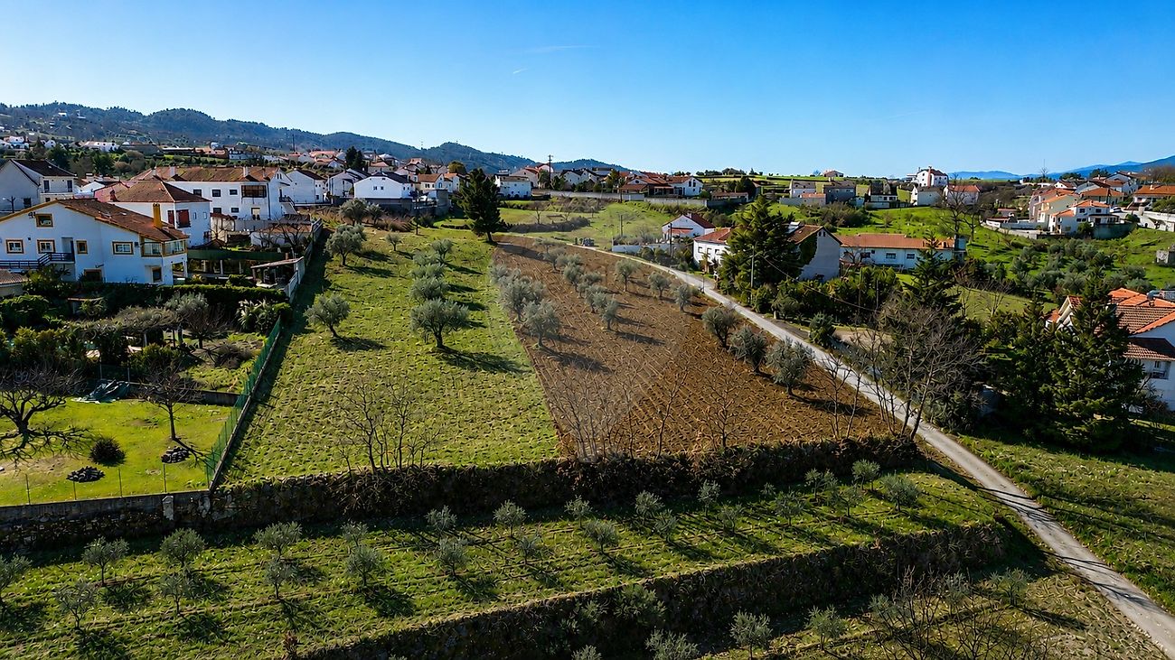 Terreno - Ferro, Covilhã, Castelo Branco