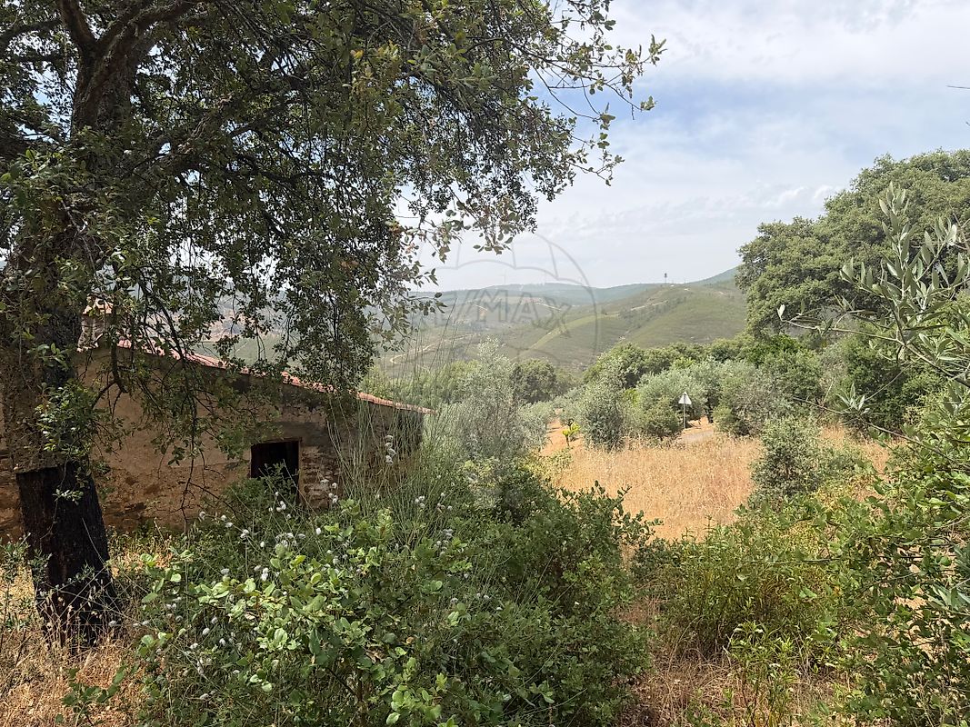 Moradia T2 à venda em Reguengo e São Julião, Portalegre — foto 10