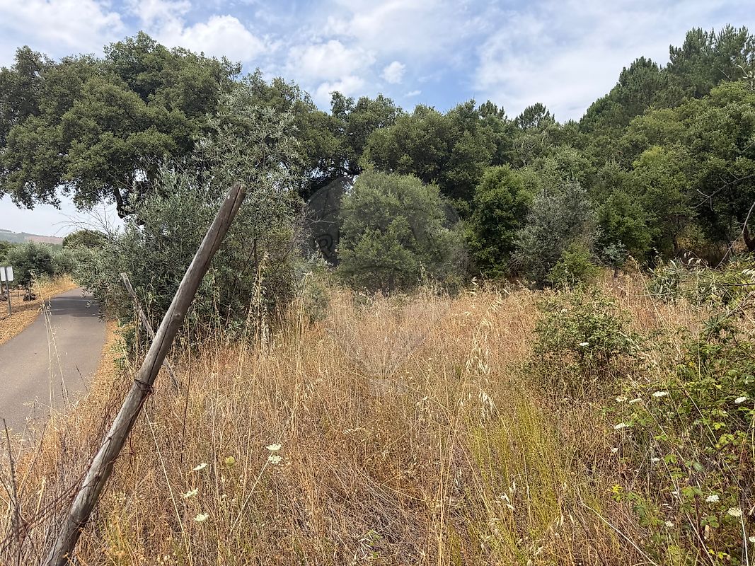 Moradia T2 à venda em Reguengo e São Julião, Portalegre — foto 7