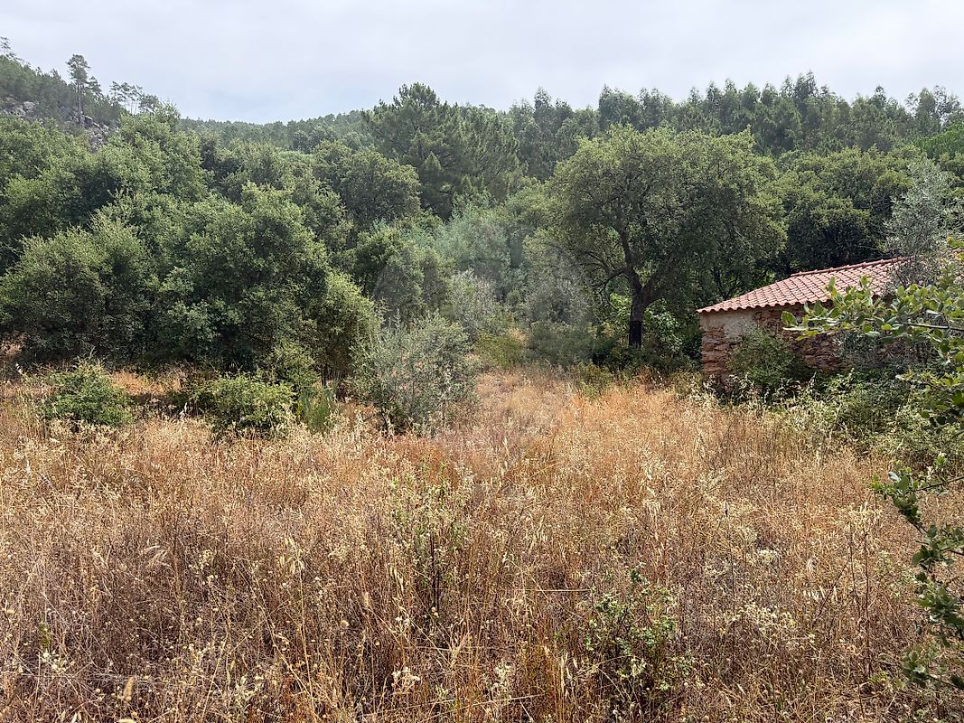 Moradia T2 à venda em Reguengo e São Julião, Portalegre — foto 6