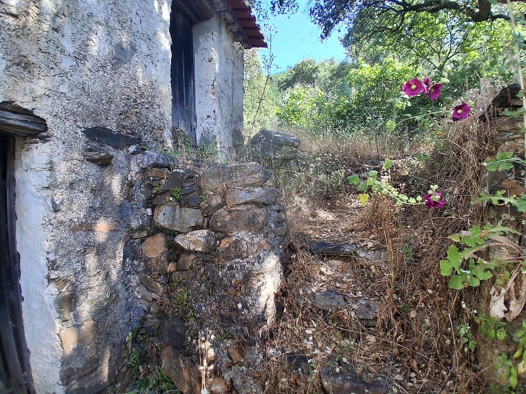 Moradia T2 à venda em Reguengo e São Julião, Portalegre — foto 35