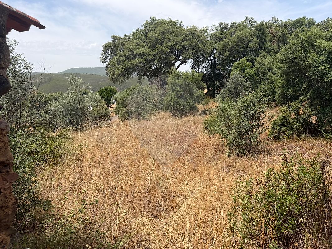 Moradia T2 à venda em Reguengo e São Julião, Portalegre — foto 26