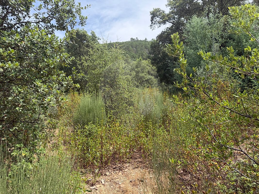 Moradia T2 à venda em Reguengo e São Julião, Portalegre — foto 27