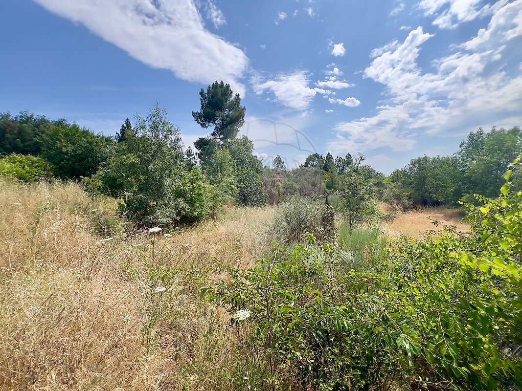 Terreno - Caria, Belmonte, Castelo Branco