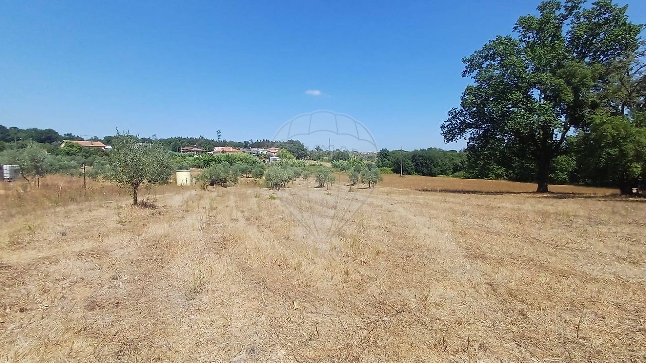 Terreno - Ovoa e Vimieiro, Santa Comba Dão, Viseu