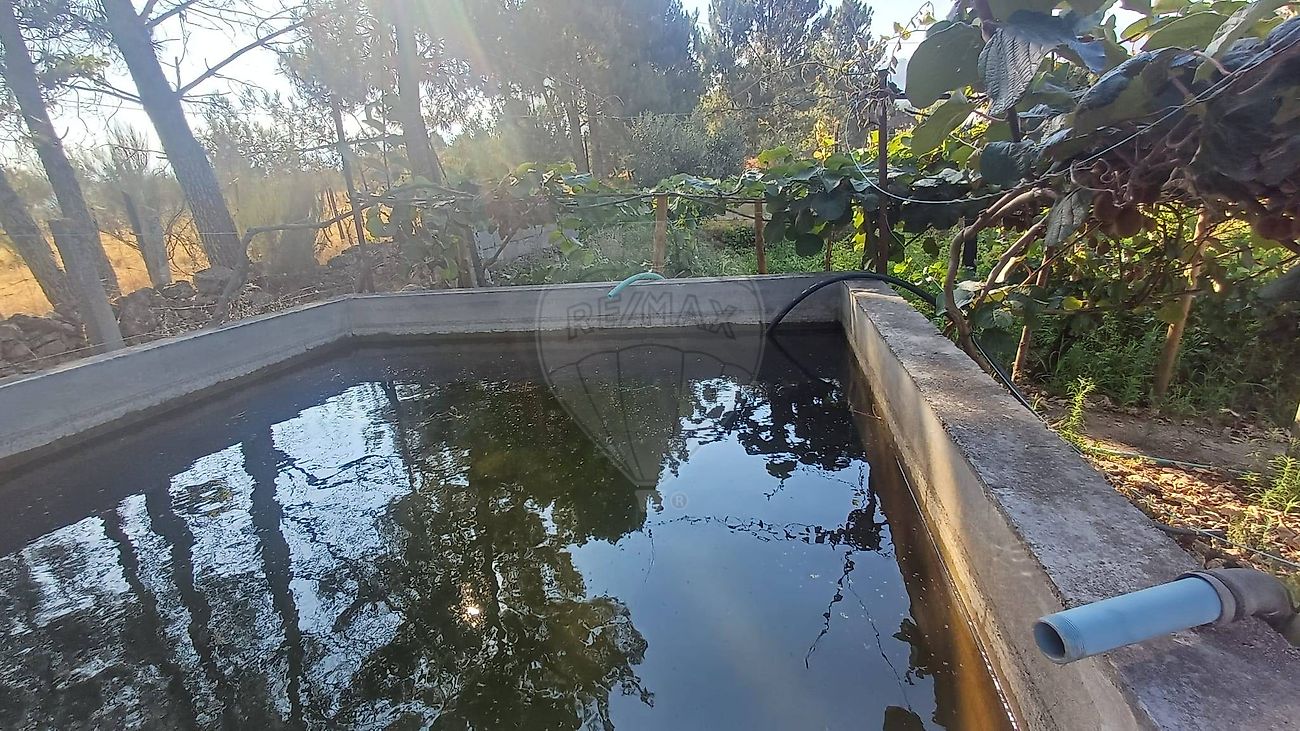 Terreno - Santa Marinha e São Martinho, Seia, Guarda