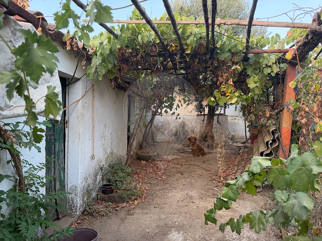 Moradia T3 à venda em Mosteiros, Arronches — foto 37