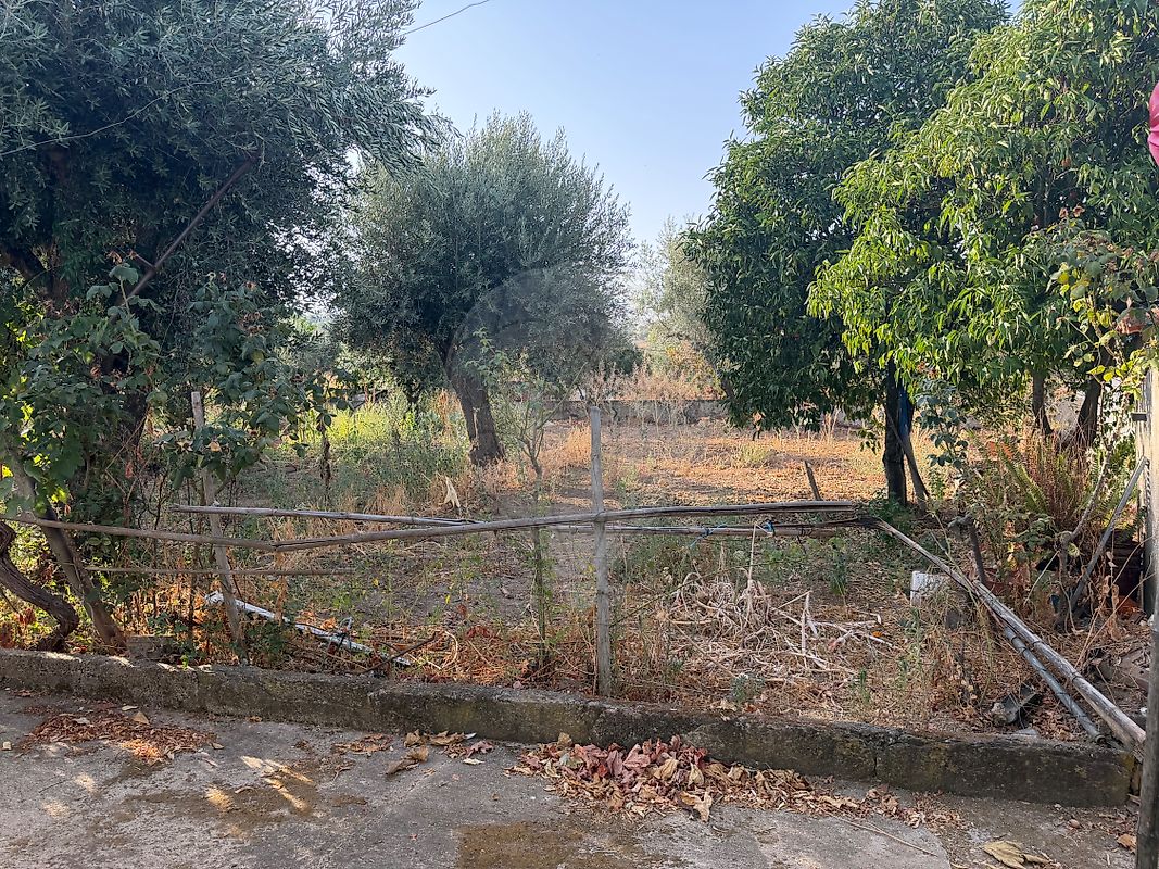 Moradia T3 à venda em Mosteiros, Arronches — foto 31