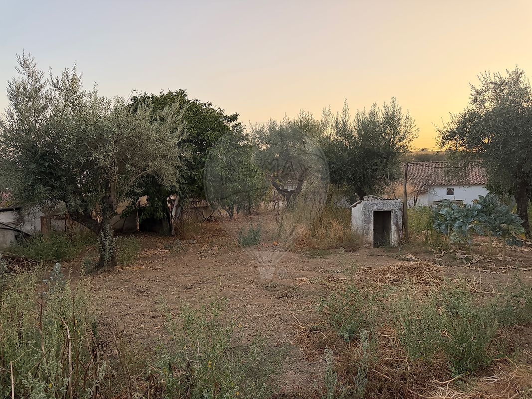 Moradia T3 à venda em Mosteiros, Arronches — foto 35