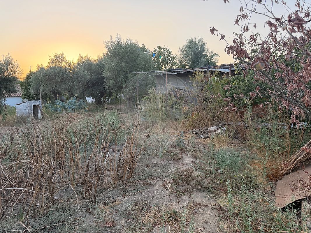 Moradia T3 à venda em Mosteiros, Arronches — foto 32