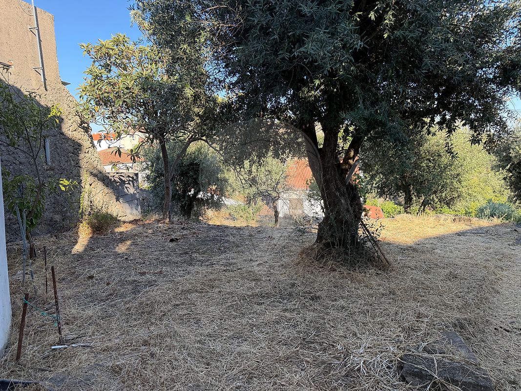 Moradia T1 à venda em Idanha-a-Nova e Alcafozes, Idanha-a-Nova — foto 12