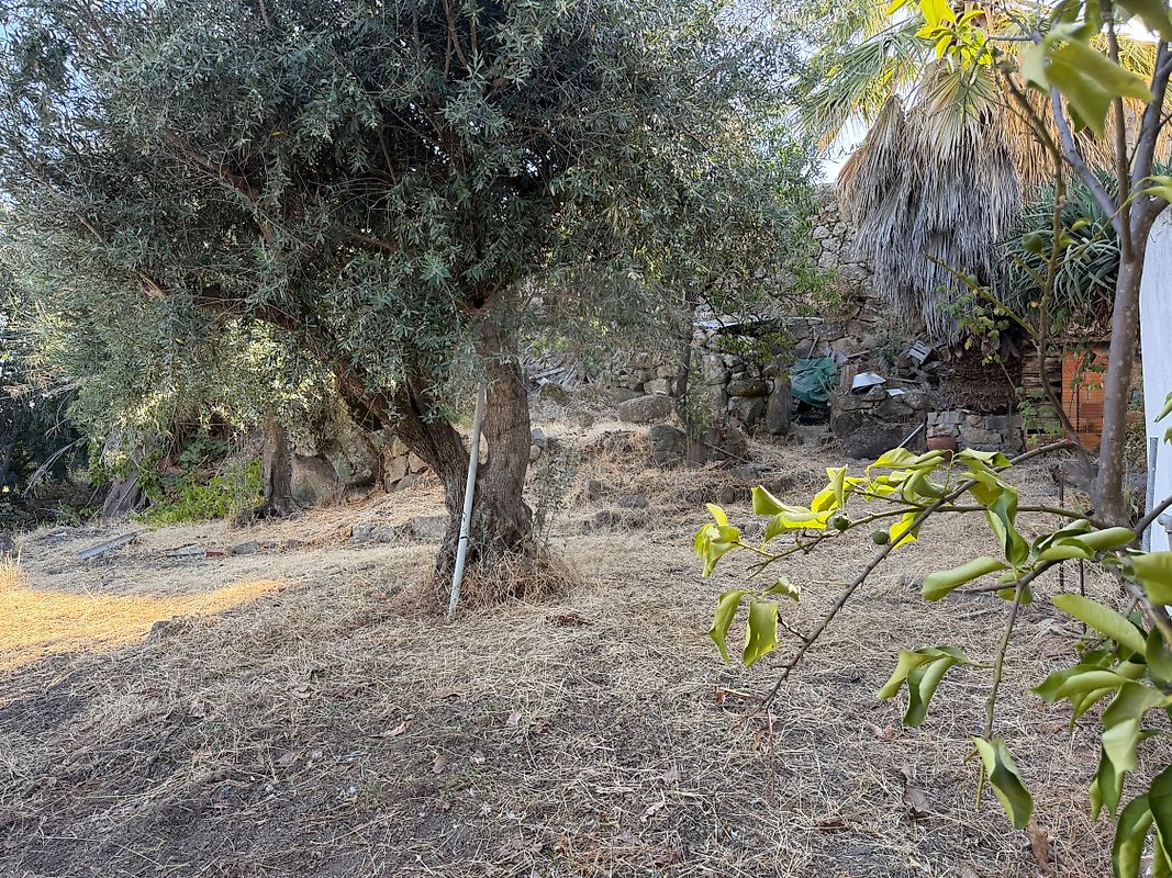 Moradia T1 à venda em Idanha-a-Nova e Alcafozes, Idanha-a-Nova — foto 11