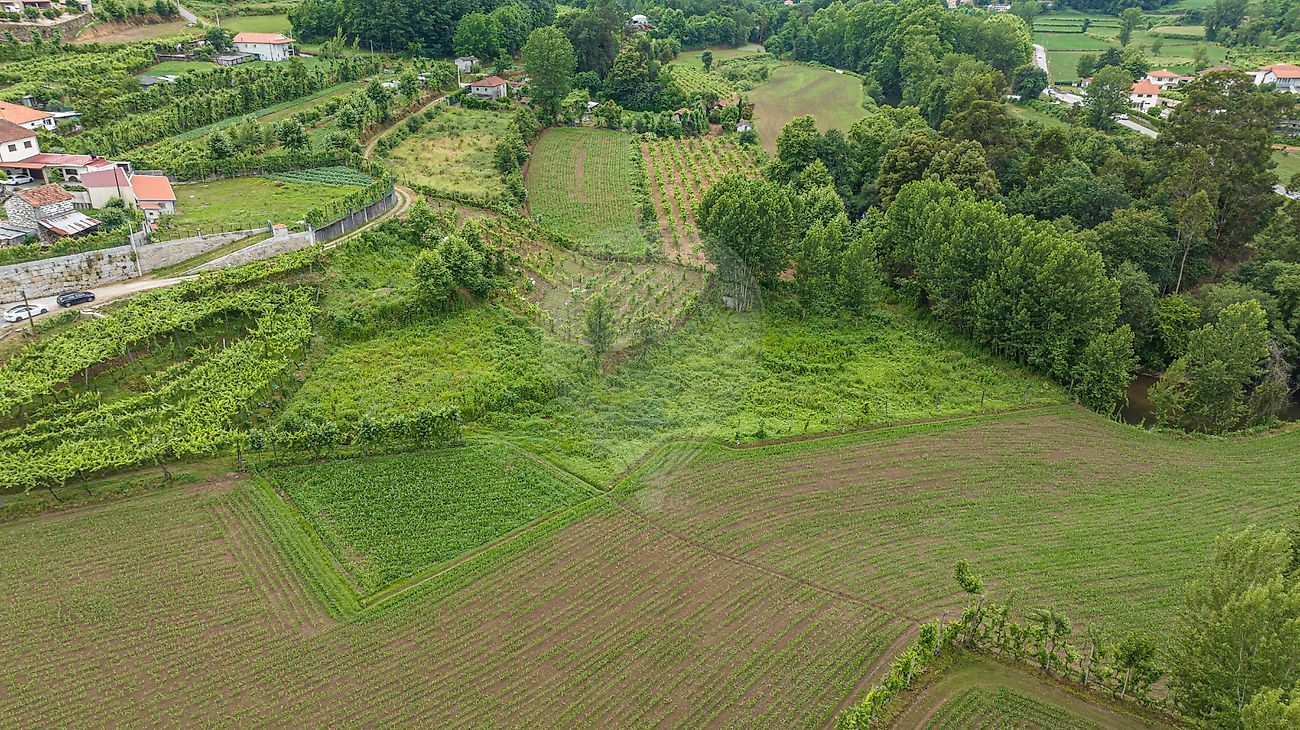 Terreno para venda