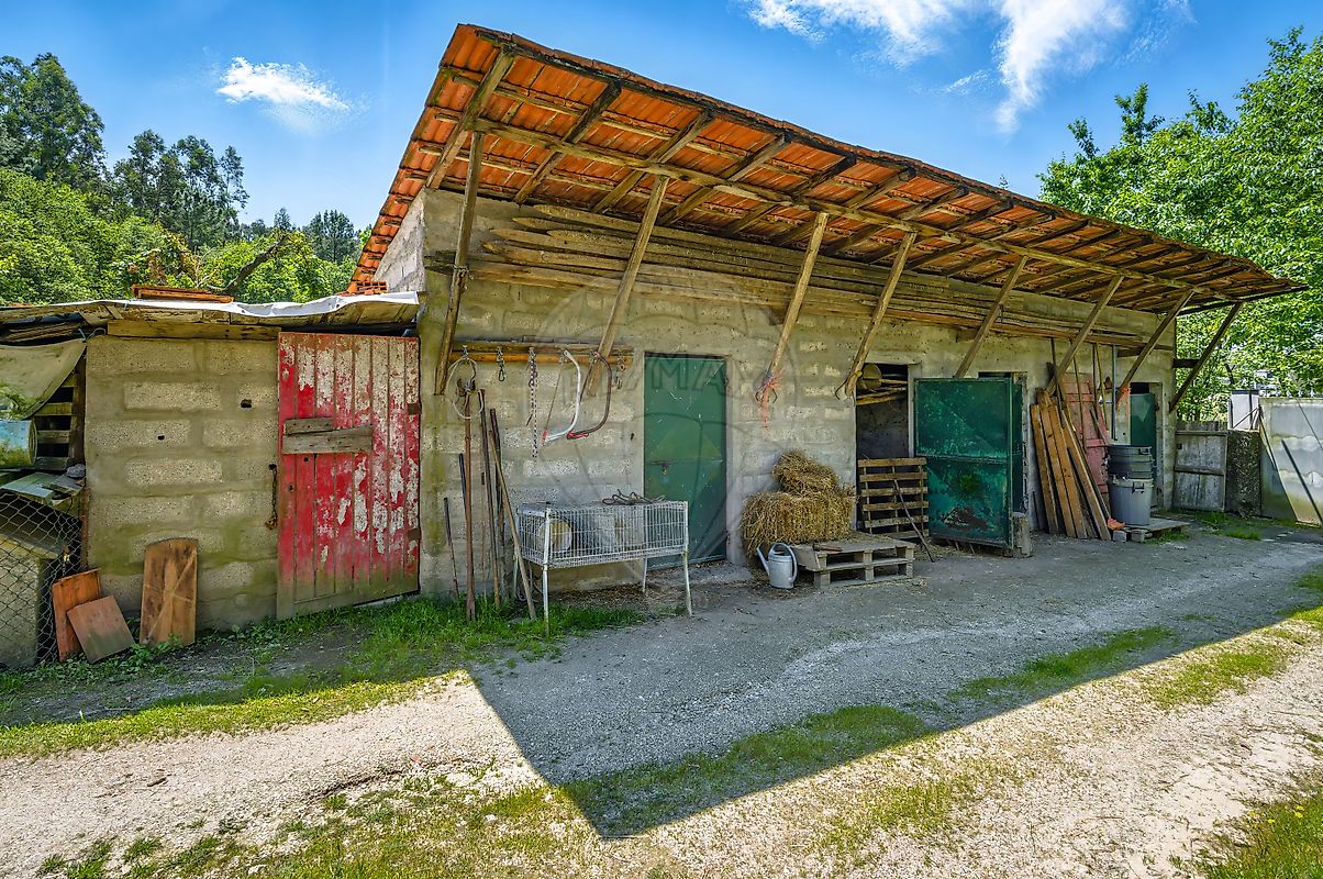 listing 126481193-13 picture-0