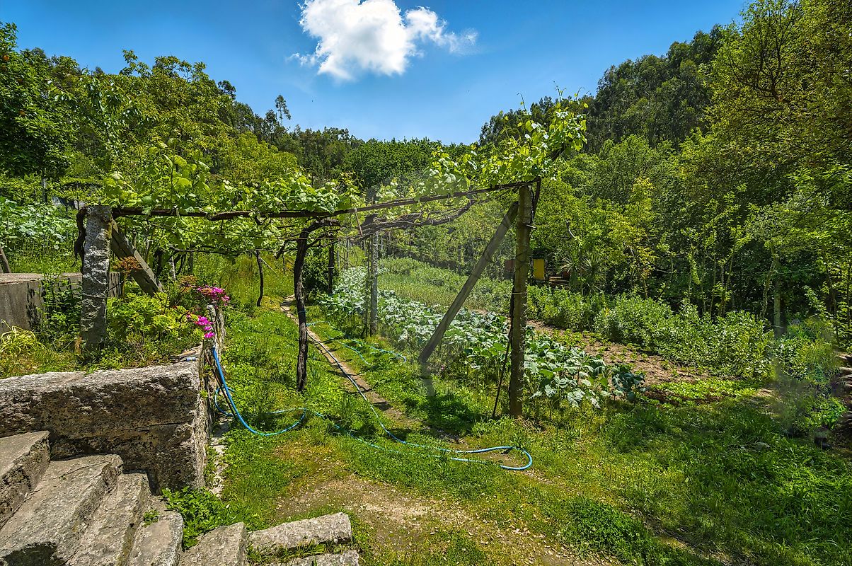 listing 126481193-13 picture-0