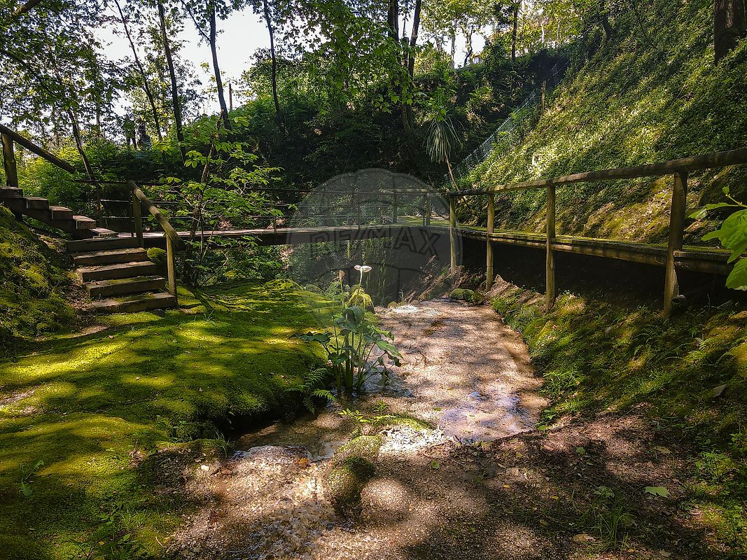 listing 126481193-13 picture-0