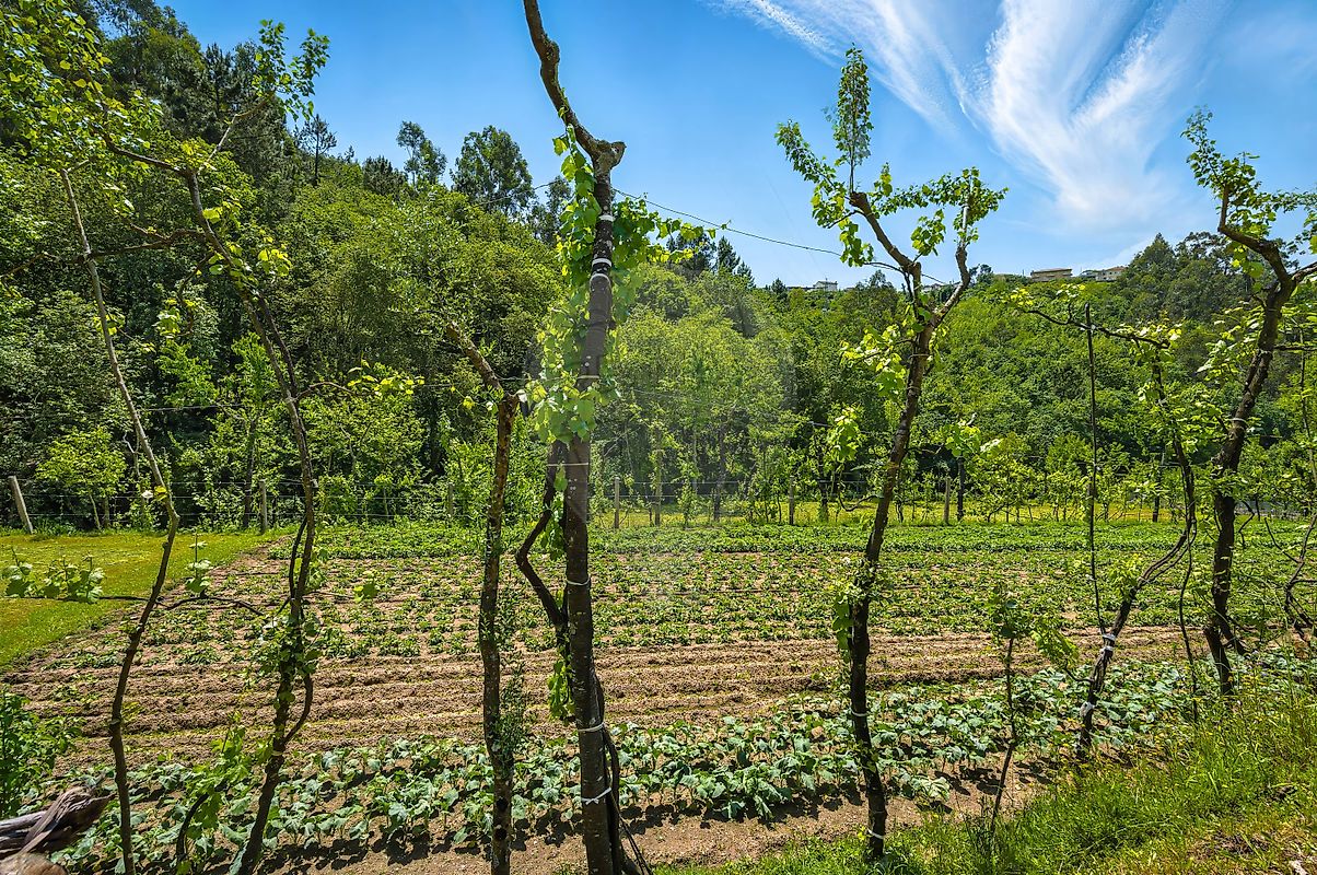 listing 126481193-13 picture-0