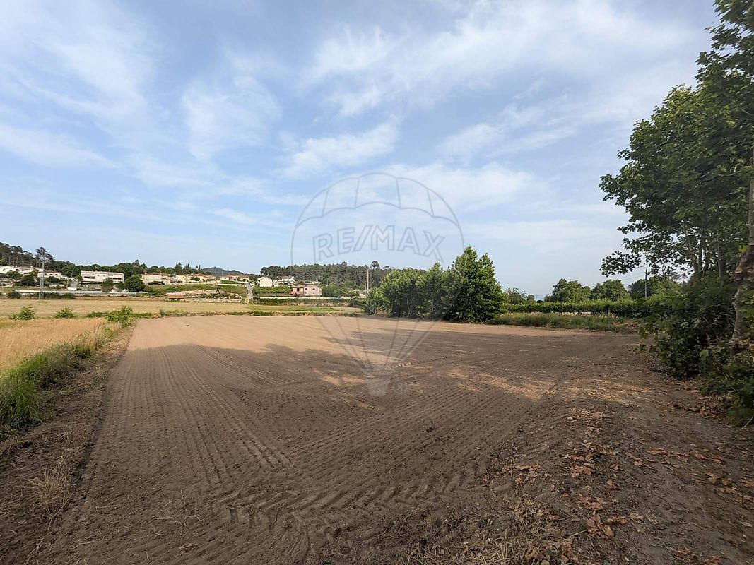Terreno - Travanca, Amarante, Porto