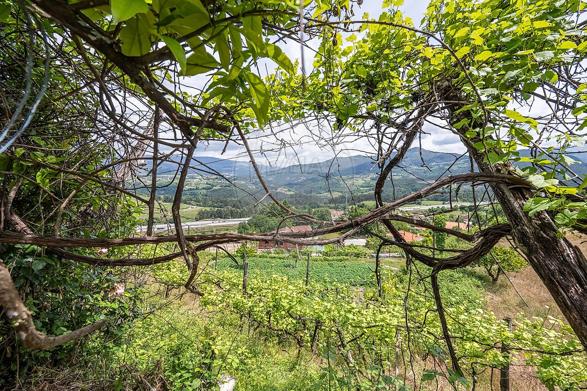 Moradia T4 à venda em Atei, Mondim de Basto — foto 15