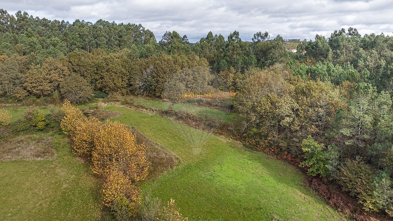 Moradia T4 à venda em Quinchães, Fafe — foto 10