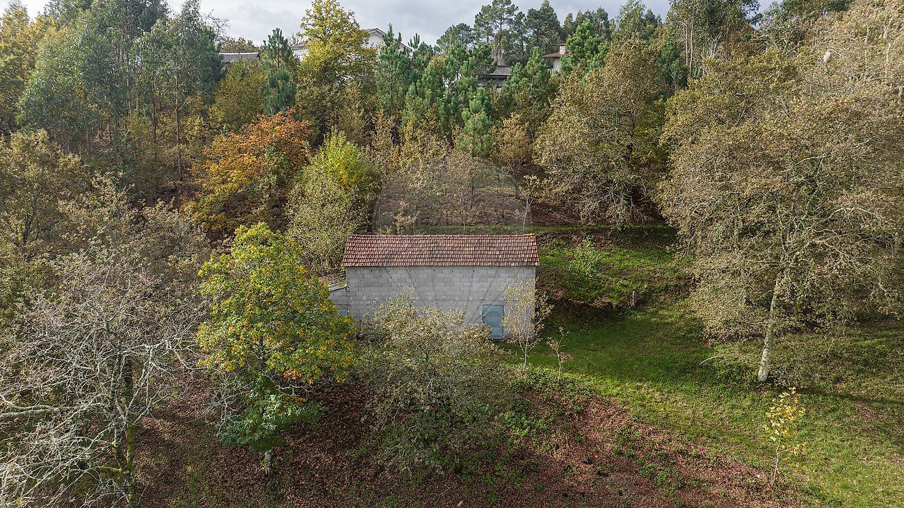 Moradia T4 à venda em Quinchães, Fafe — foto 16