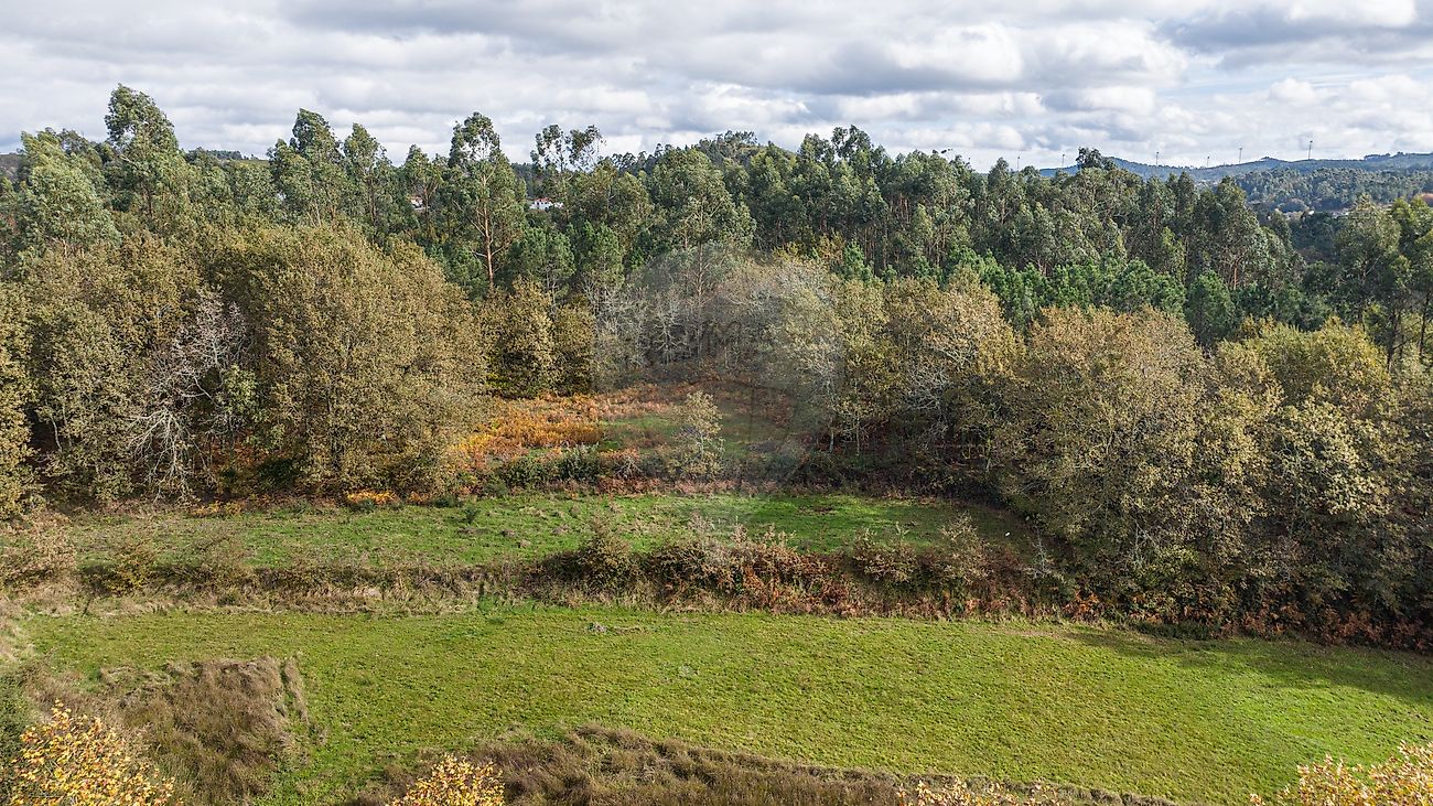 Moradia T4 à venda em Quinchães, Fafe — foto 11