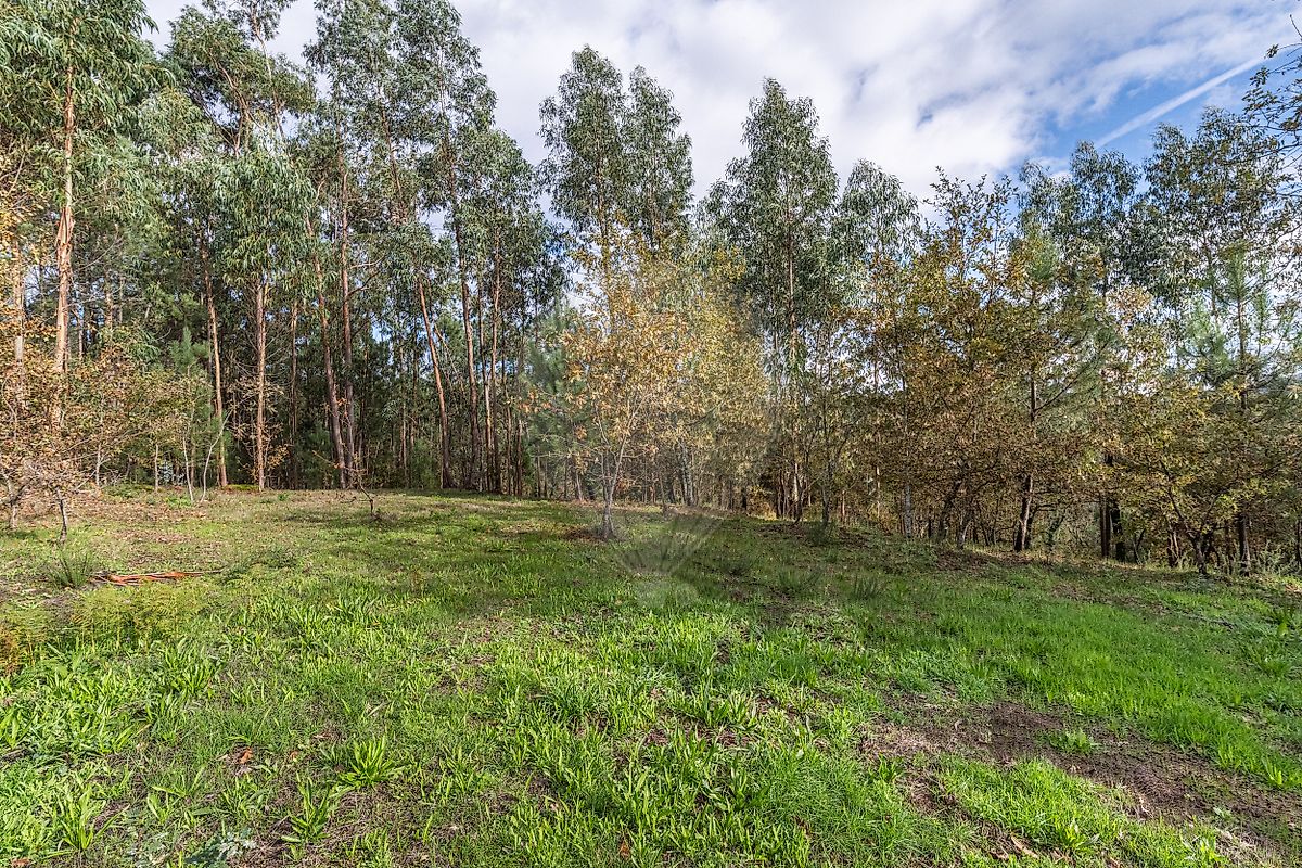 Moradia T4 à venda em Quinchães, Fafe — foto 23