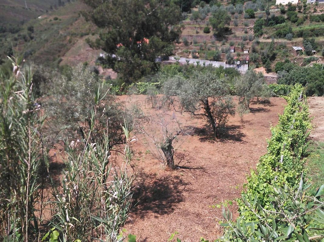 Terreno para venda