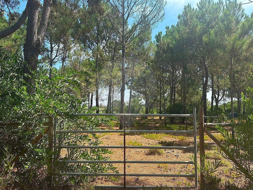 Terreno - Rogil, Aljezur, Faro